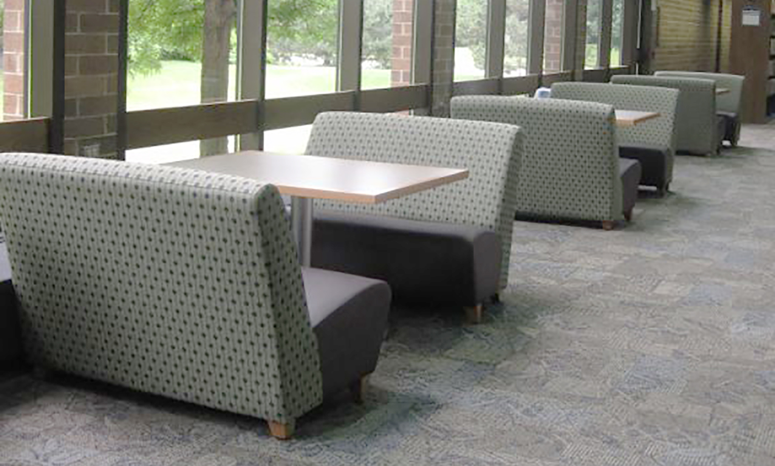 Elk Grove Village Public Library - Agati Furniture