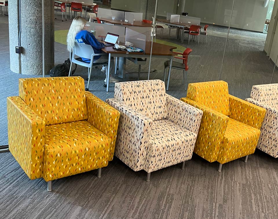 Library Reading Chairs