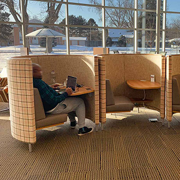 Library patron working in study pod