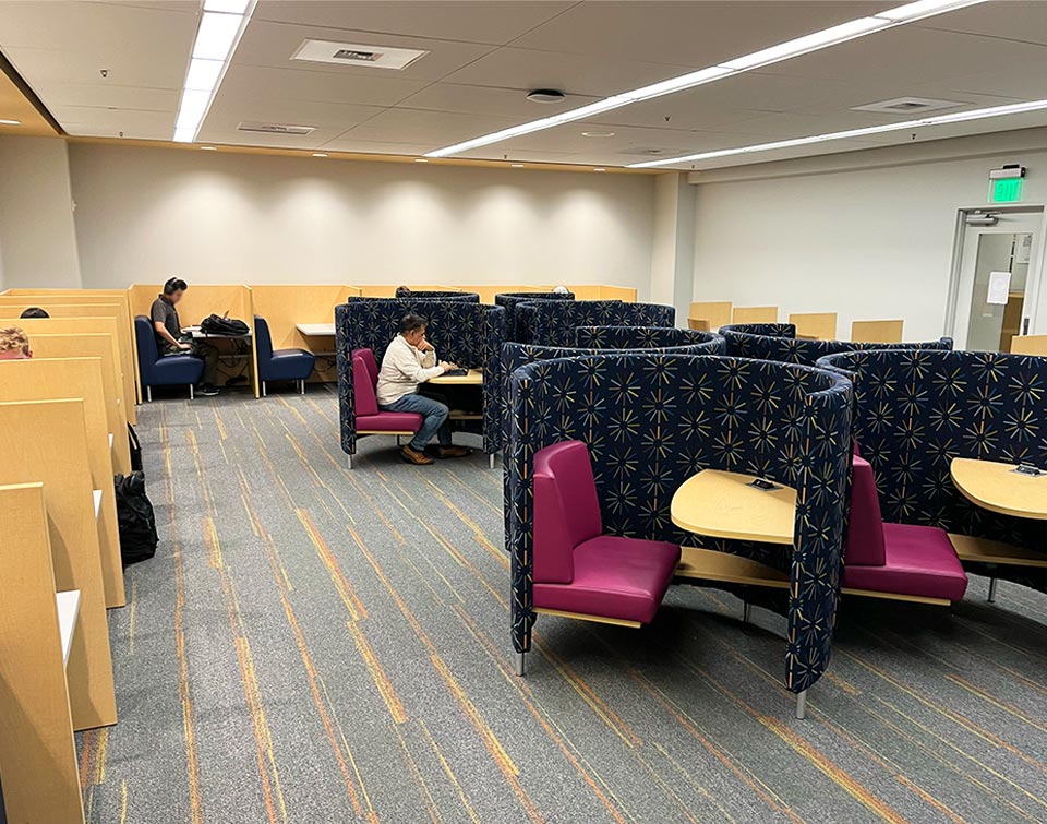 Agati Pods at Santa Clara University